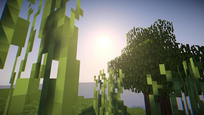 三只羊是不是被人做局了？